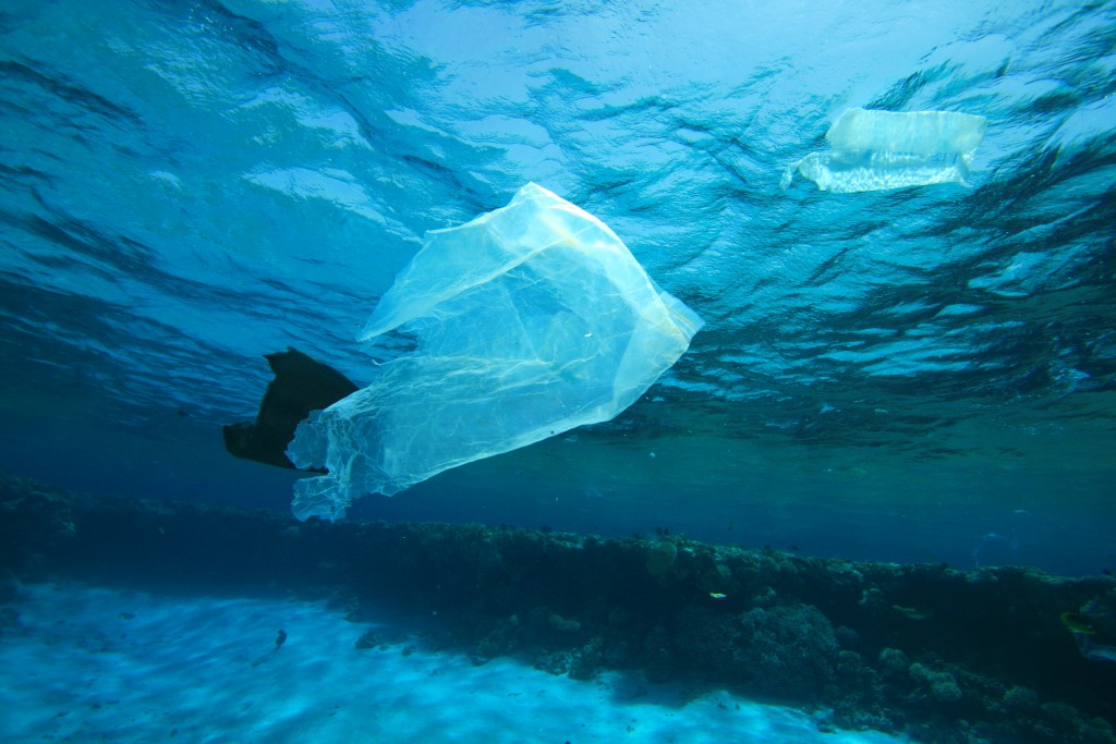 regulación de bolsas plásticas, regularán uso y fabricación de bolsas plásticas, desapareceran las bolsas plásticas pequeñas, eliminar bolsas plásticas, otros usos distintos para las bolsas plásticas.